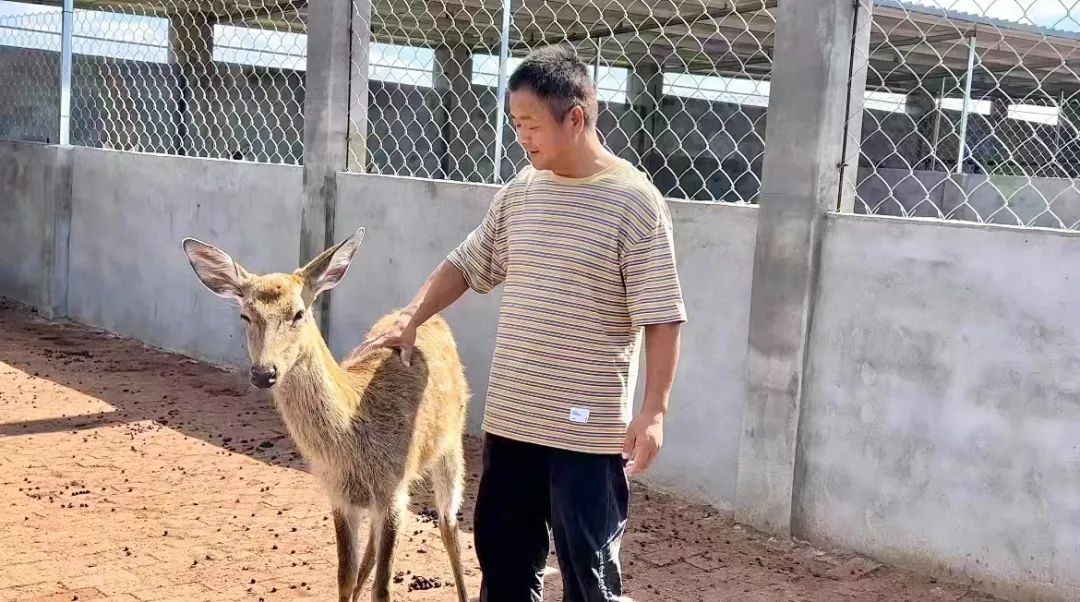 bet9怎么样
